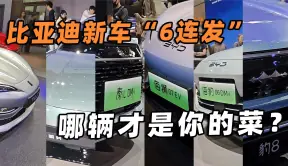 2024北京车展：比亚迪新车“6连发”，快来看看哪辆是你的菜？