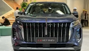 准备好银子 6月四款SUV来袭 2024款皇冠陆放、红旗HS7 PHEV领衔