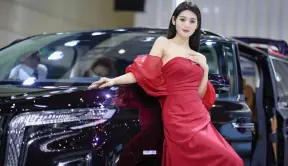 年中汽车消费“粽”头戏，2024中原国际车展今日盛大开幕！